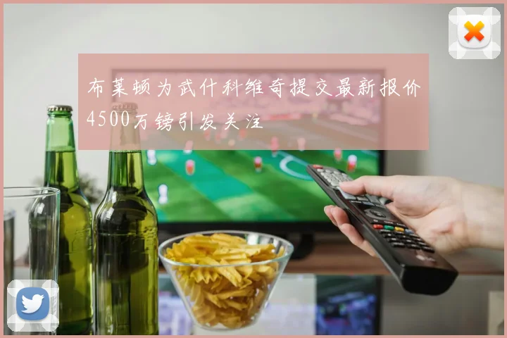 布莱顿为武什科维奇提交最新报价4500万镑引发关注