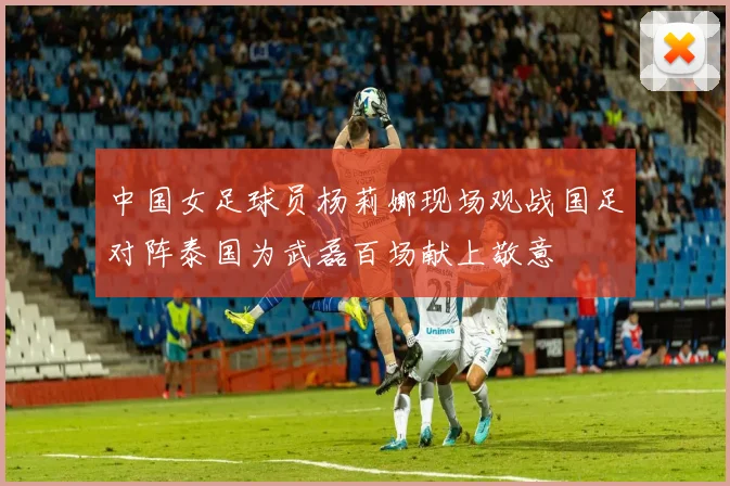 中国女足球员杨莉娜现场观战国足对阵泰国为武磊百场献上敬意