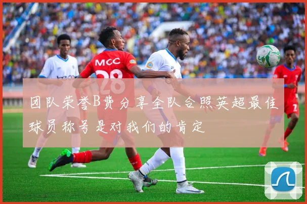 团队荣誉B费分享全队合照英超最佳球员称号是对我们的肯定